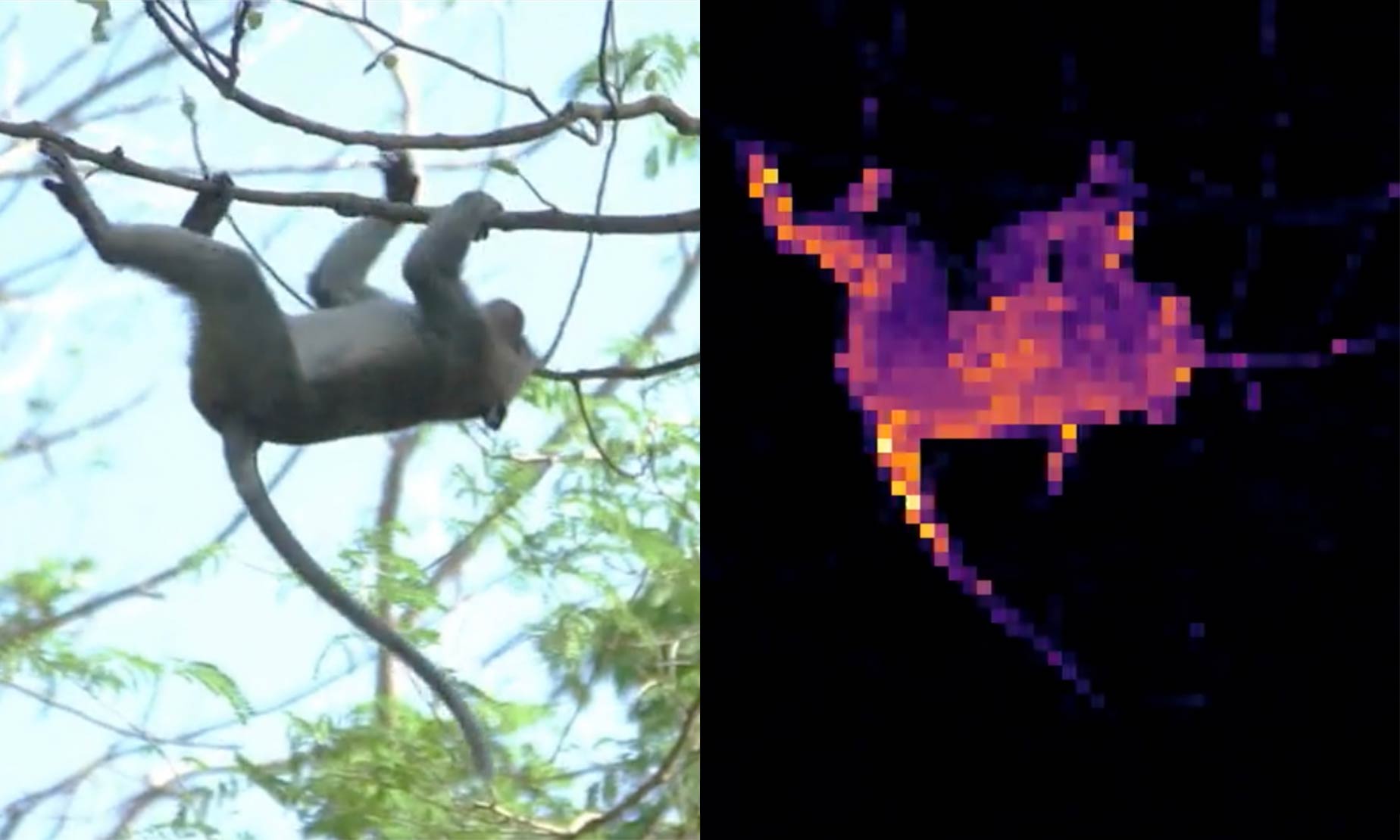 Les LLM, c'est le passé